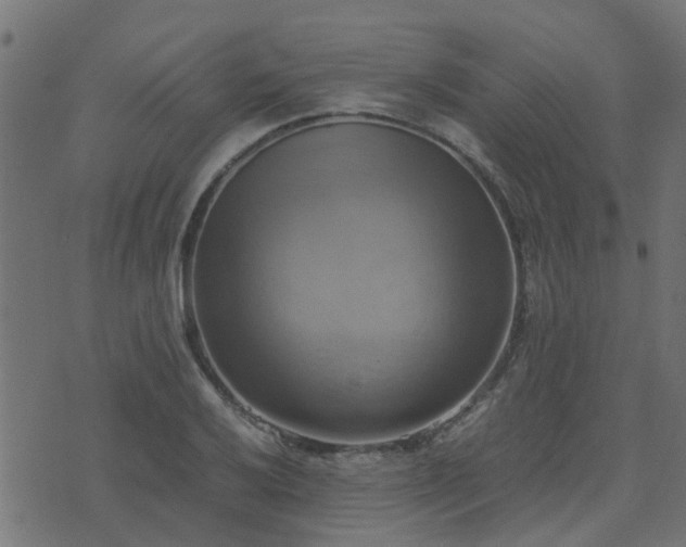 X0000071781032200606301215