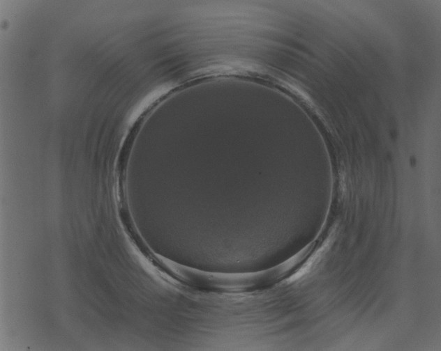 X0000071781034200606301215