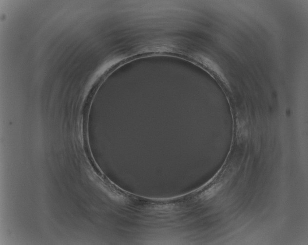 X0000071781035200606301215