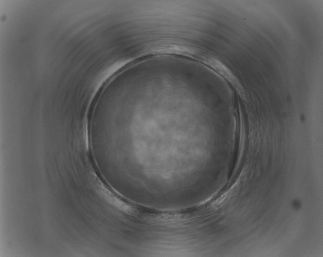 X0000071781036200606301215