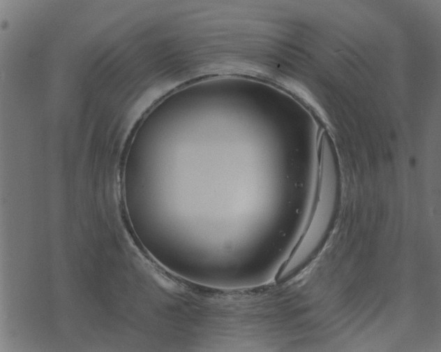 X0000071781040200606301215