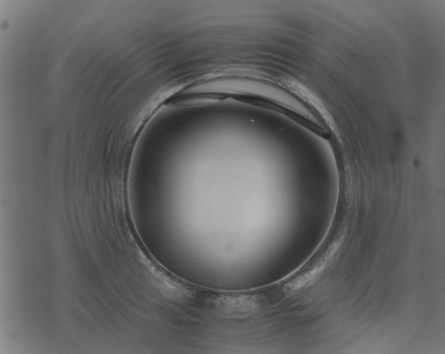 X0000071781041200606301215