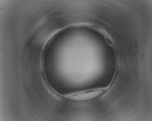 X0000071781044200606301215