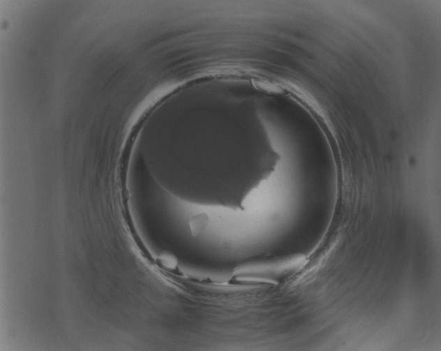 X0000071781045200606301215