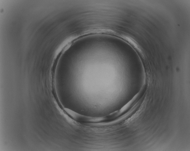 X0000071781046200606301215