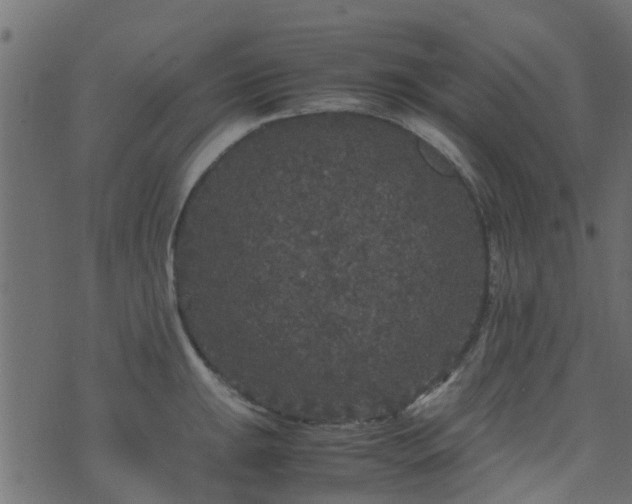 X0000071781047200606301215