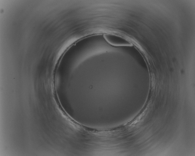 X0000071781048200606301215