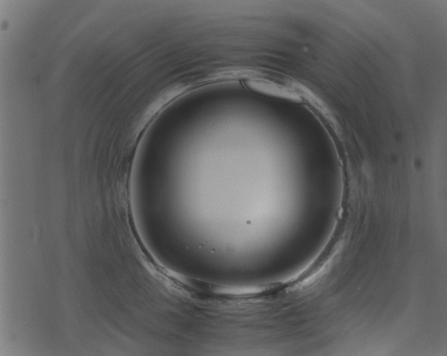 X0000071781049200606301215