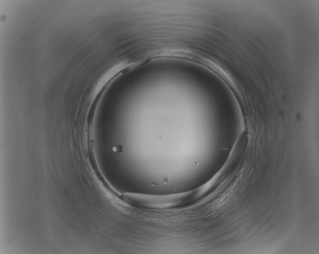 X0000071781050200606301215