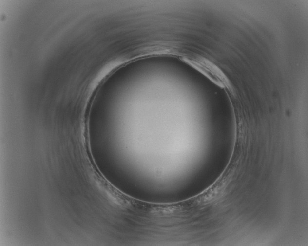 X0000071781051200606301215