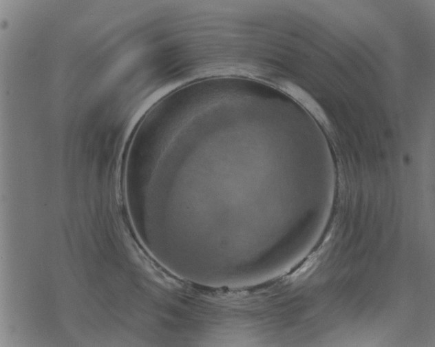 X0000071781052200606301215