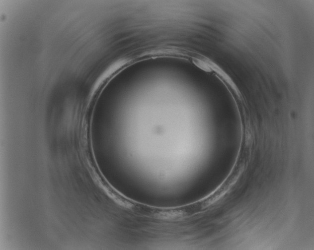 X0000071781053200606301215