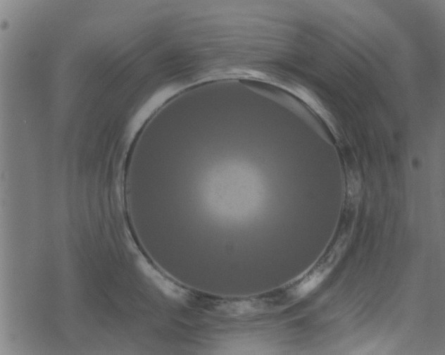 X0000071781054200606301215