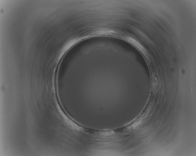 X0000071781055200606301215