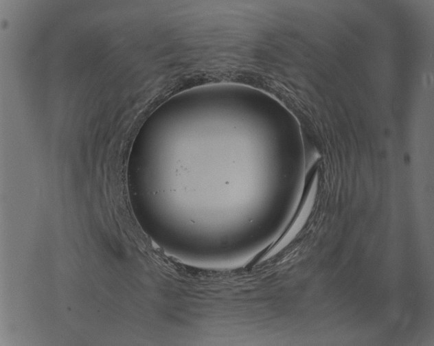 X0000071781057200606301215