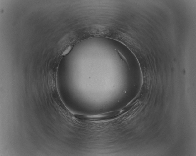 X0000071781058200606301214