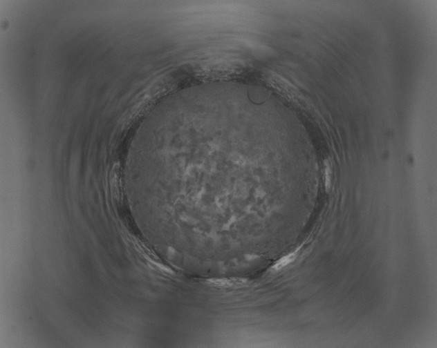 X0000071781059200606301214