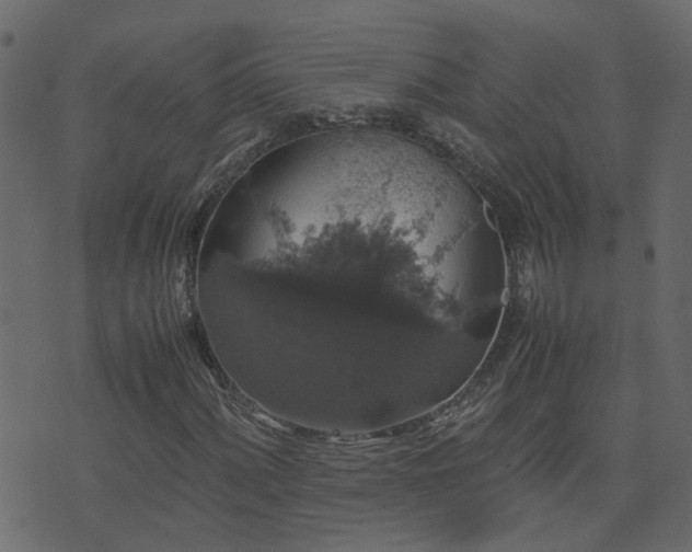 X0000071781060200606301214