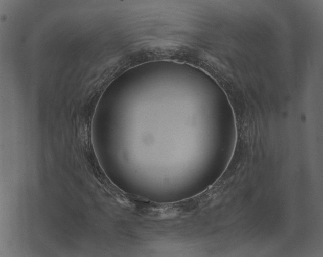 X0000071781061200606301214