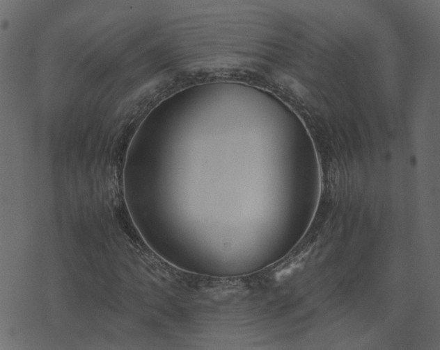 X0000071781062200606301214