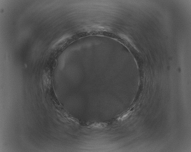 X0000071781063200606301214