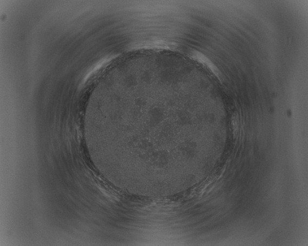 X0000071781064200606301214