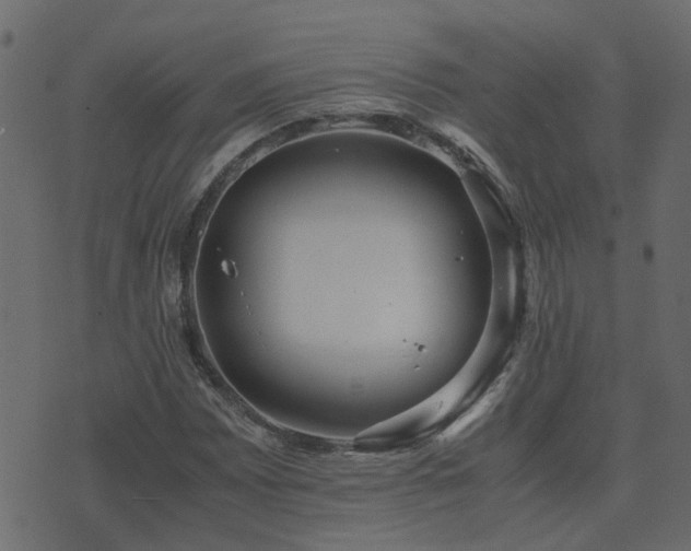 X0000071781065200606301214