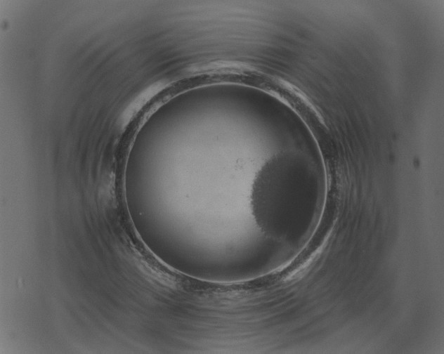 X0000071781066200606301214