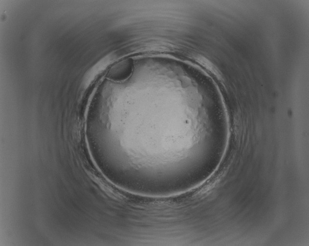 X0000071781067200606301214