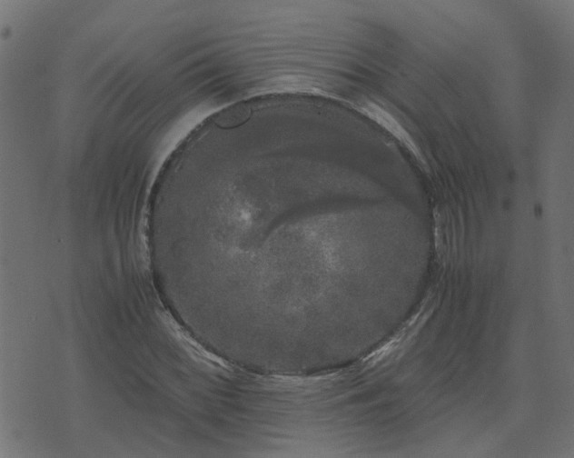 X0000071781068200606301214