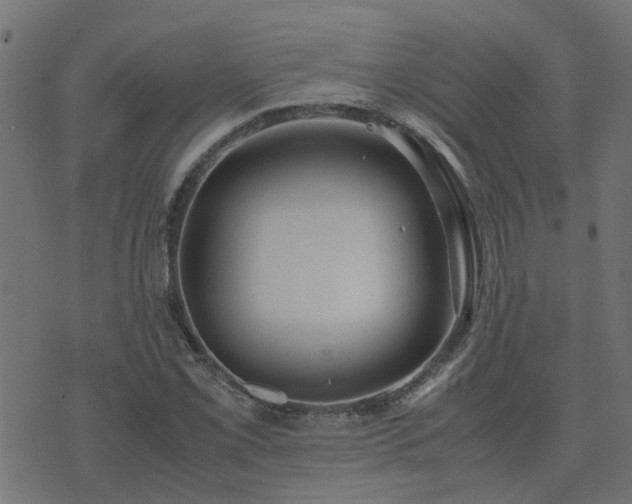 X0000071781069200606301214