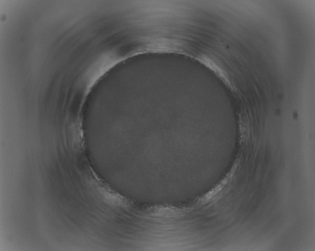 X0000071781070200606301214