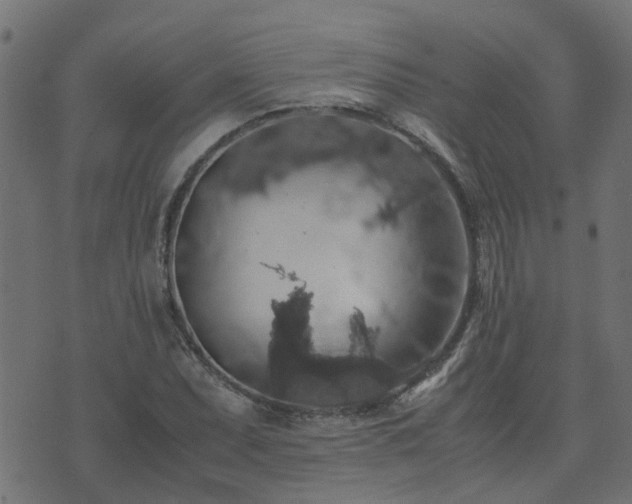 X0000071781071200606301214