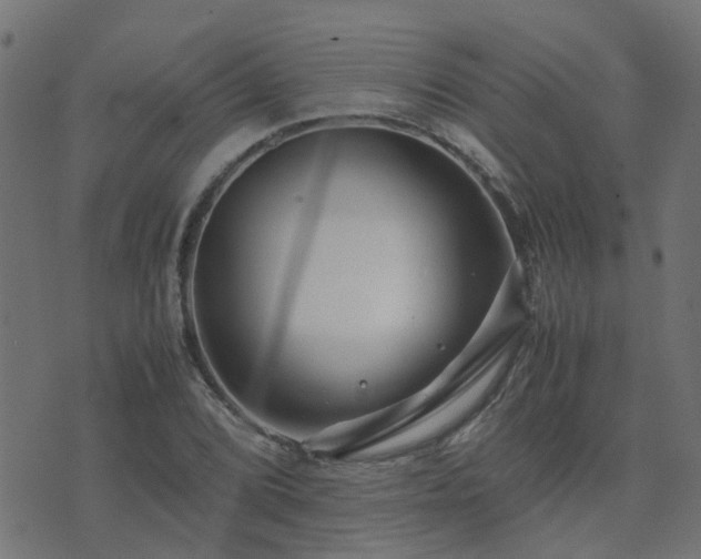 X0000071781072200606301214