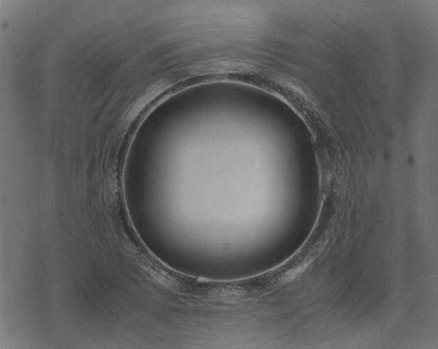 X0000071781073200606301214