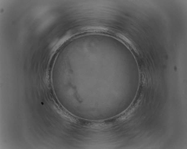 X0000071781074200606301214