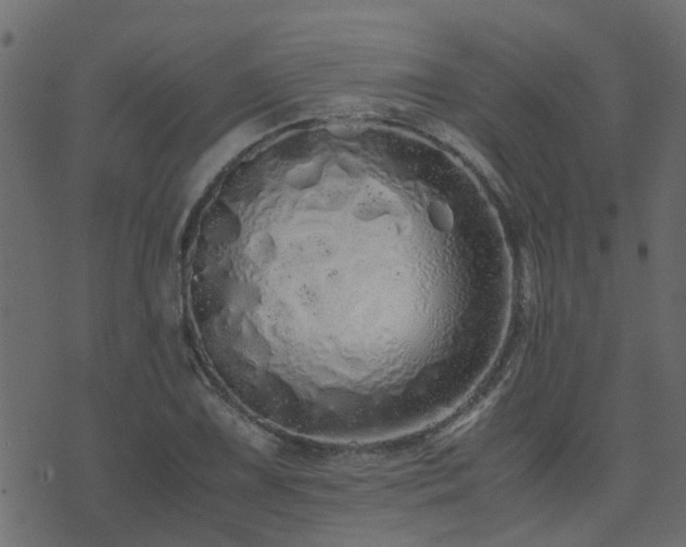 X0000071781075200606301214