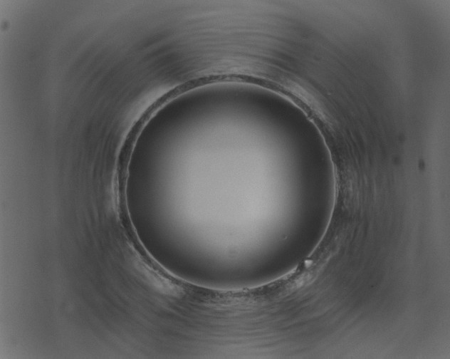 X0000071781076200606301214