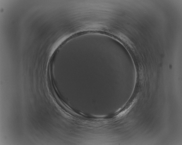 X0000071781077200606301214