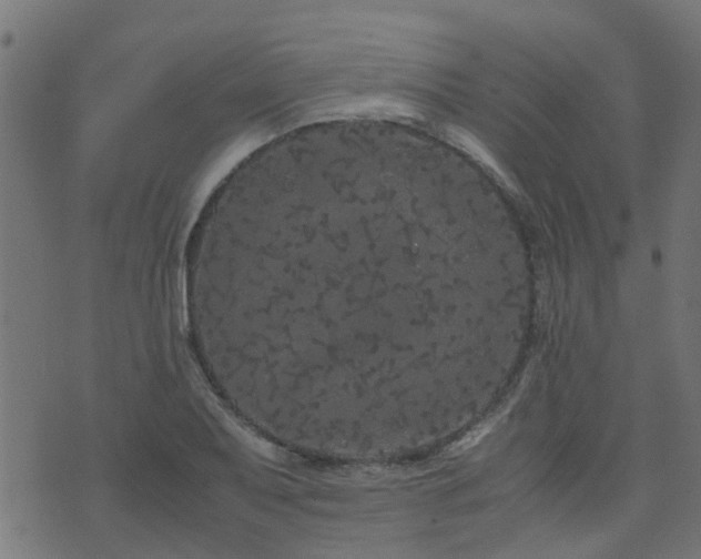 X0000071781079200606301214