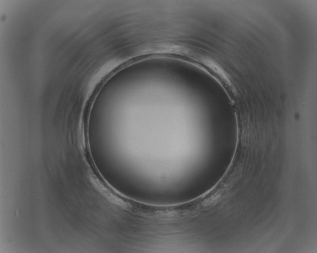 X0000071781080200606301214