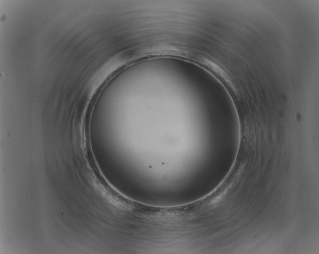 X0000071781082200606301214