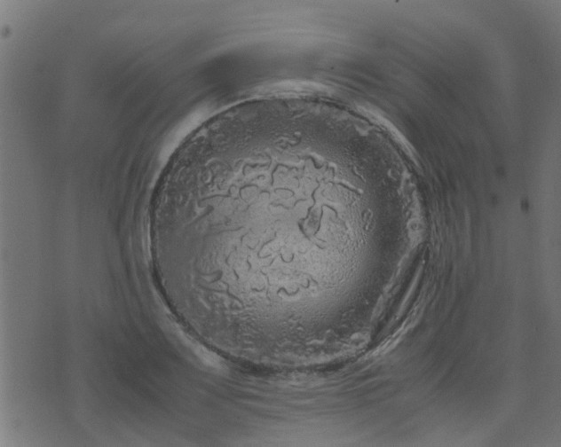 X0000071781083200606301214