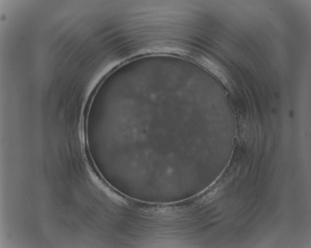 X0000071781084200606301214