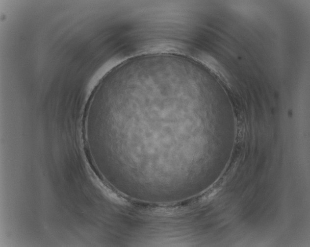 X0000071781086200606301214