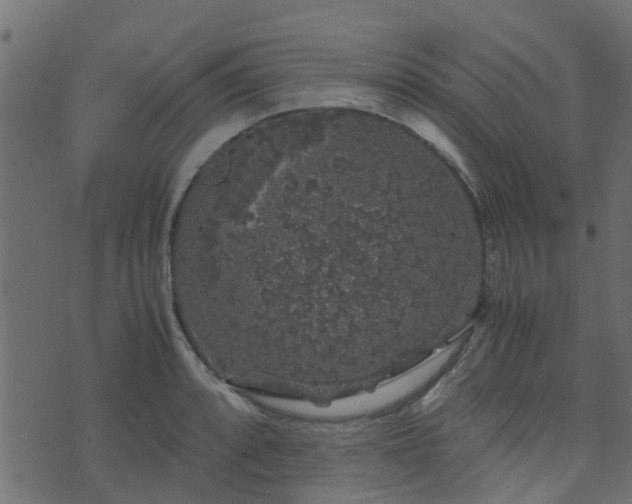 X0000071781088200606301214