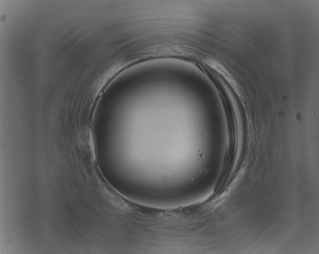 X0000071781089200606301214