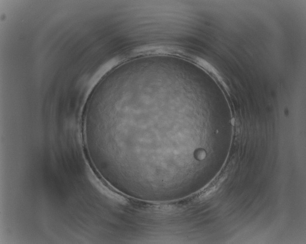 X0000071781090200606301214