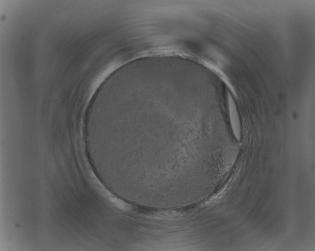 X0000071781091200606301214