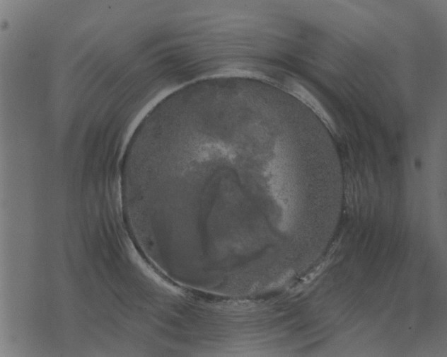 X0000071781092200606301214